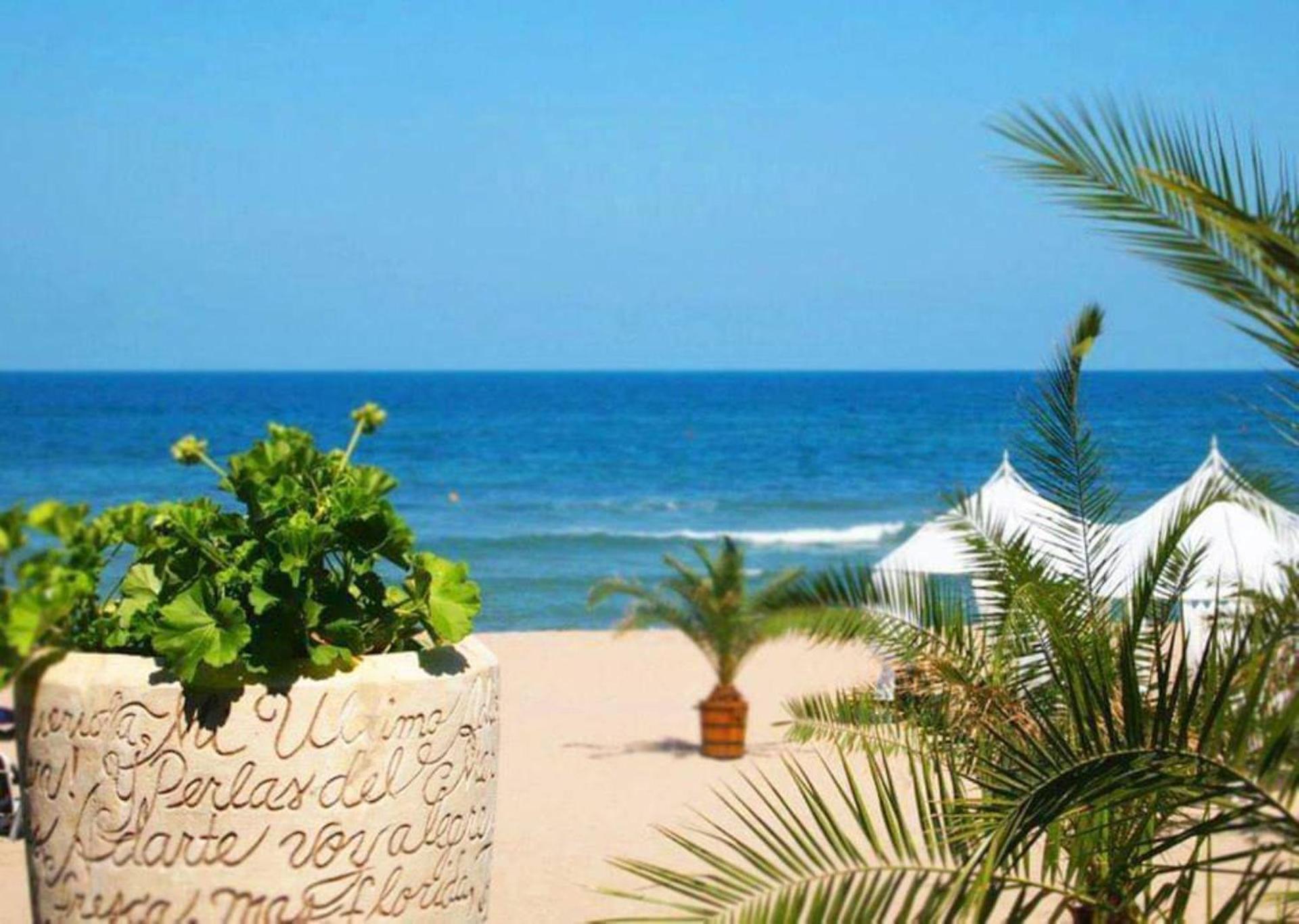 Oasis Del Mare Beach Front Hotel Lozenets Eksteriør billede